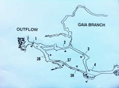 Gaia Branch