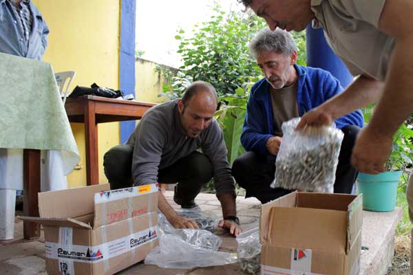 Preparazione dei materiali Raumer